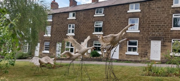 Queen’s Hospital Burton welcomes soaring swans with grant funding from Sciensus